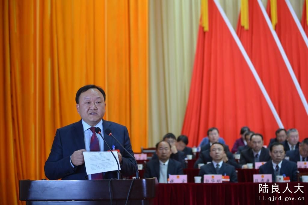 县人民政府县长胡选坤作表态发言