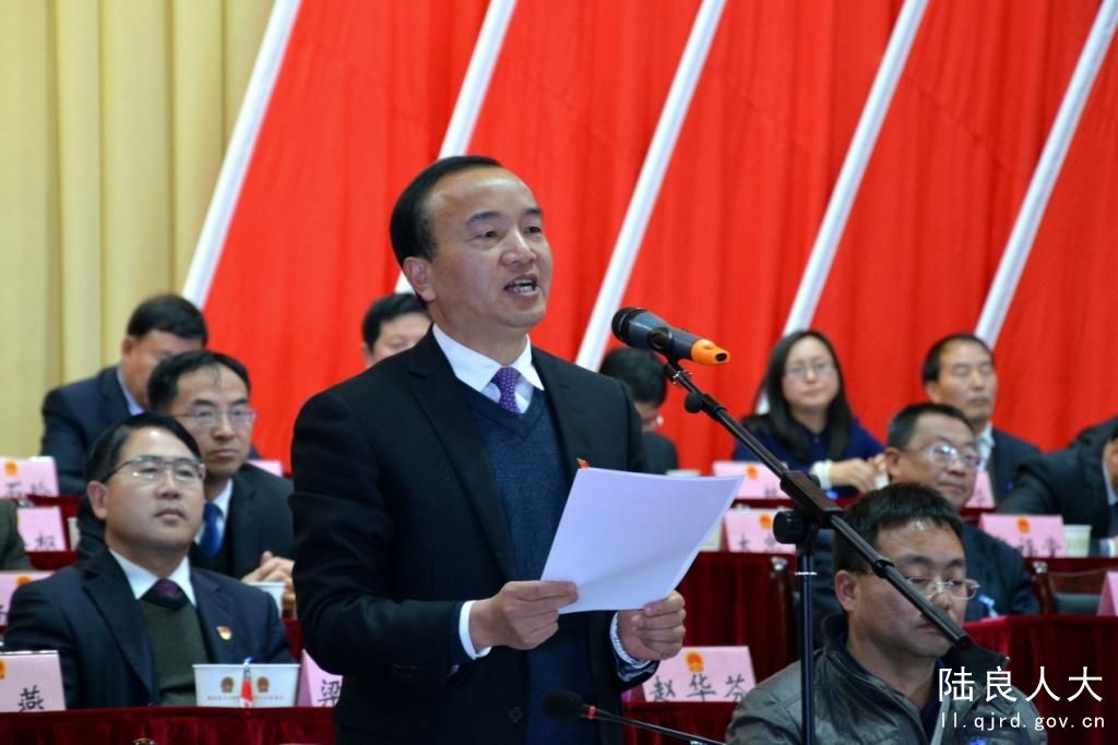 县人大常委会主任骆德刚讲话